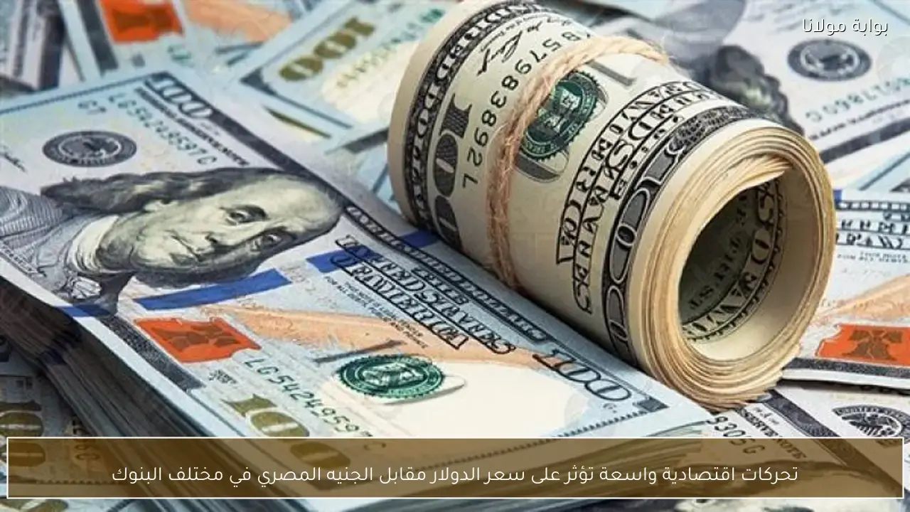 تحركات اقتصادية واسعة تفرض تغييرات جديدة على سعر الدولار مقابل الجنيه المصري